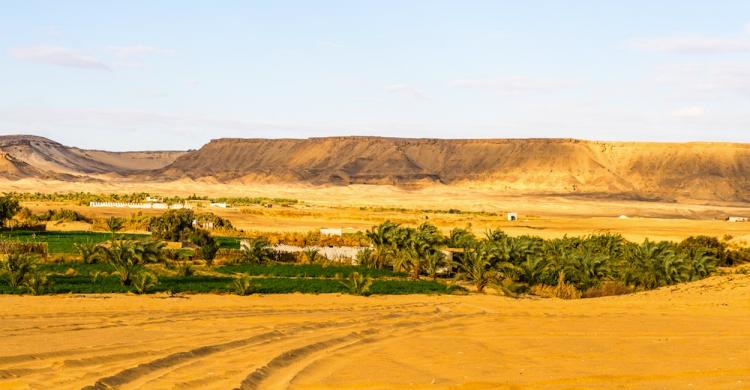 oasis bahariya