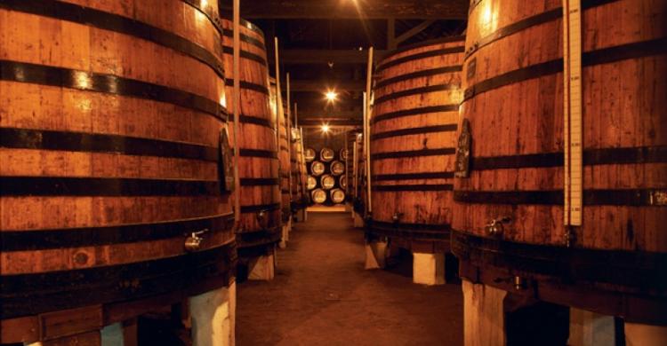Bodegas vino de Oporto
