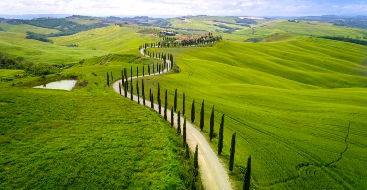 Paisaje de la región del Chianti