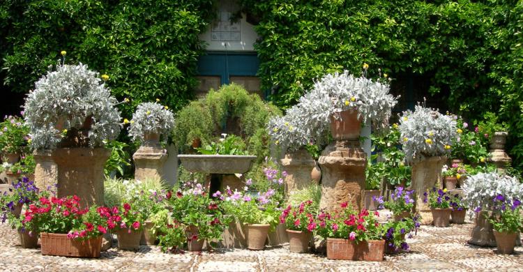 Flores en el patio del Palacio