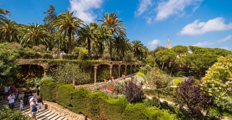 Vegetación del Parque Güell