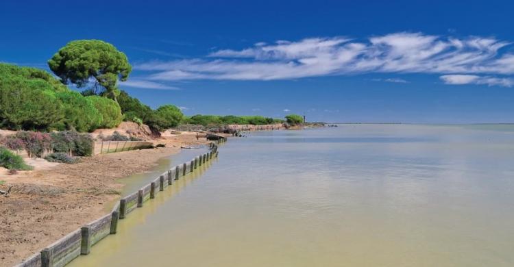 Parque Doñana