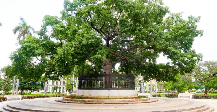 Parque de la Fraternidad - La Habana