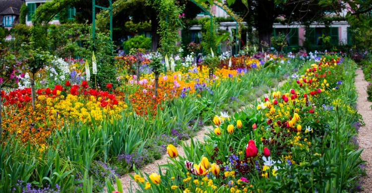 Flores del jardín de Monet en Giverny