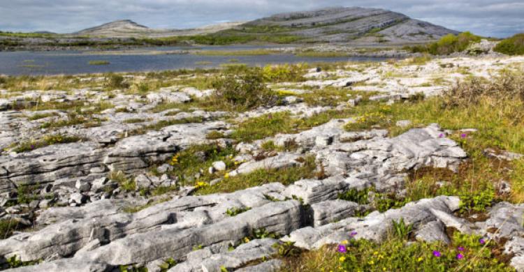 Parque Nacional de Burren
