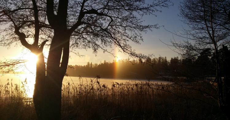 Vista del Parque Nacional Nuuksio 