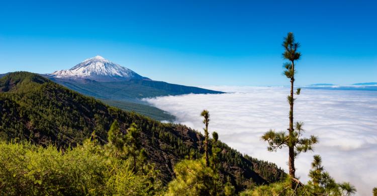 Parque Nacional del Teide