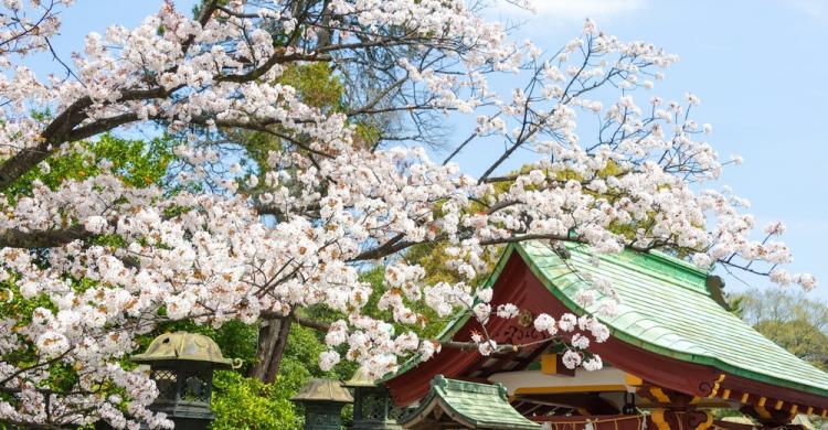 Parque Ueno