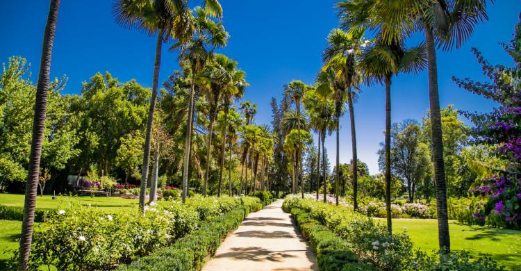 Parque de la familia Undurraga