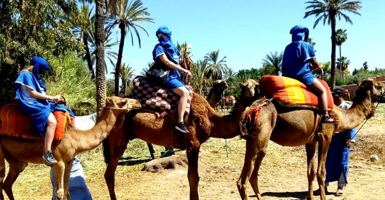 Caravana de camellos