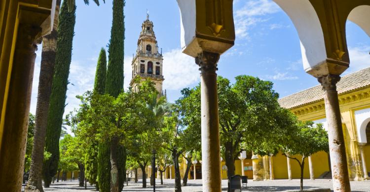 Patio de la Mezquita de Córdoba