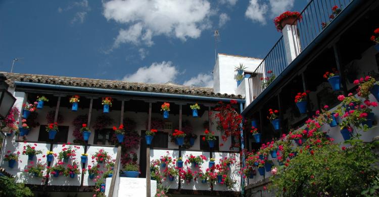 Patios populares de Córdoba