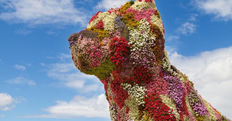 Puppy, escultura de flores