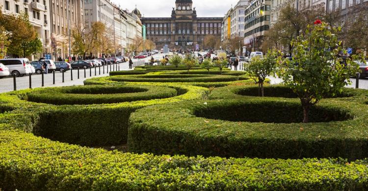 Plaza de Wenceslao