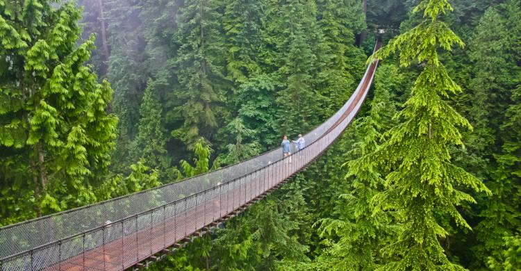 Puente colgante de Capilano