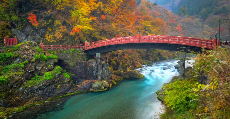 Arroyo en los Bosques de Nikkō