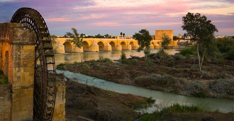 Puente Romano de Córdoba al atardecer