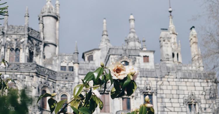 Jardines de la Quinta da Regaleira