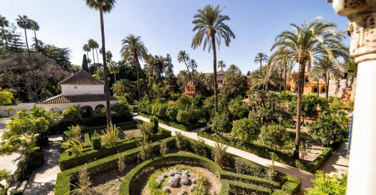 Jardines del Alcázar de Sevilla