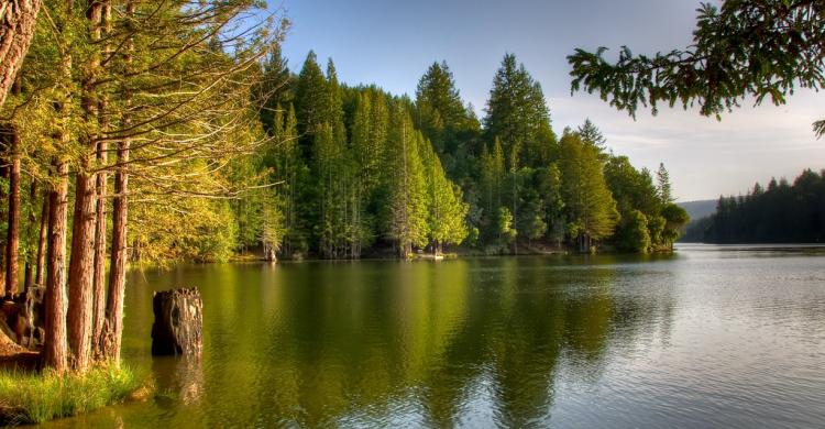 Reserva natural del Lago Lomond