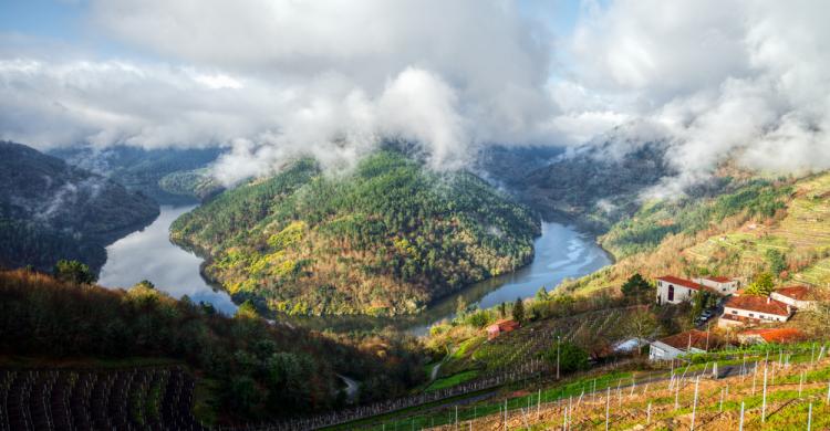 Ribeira Sacra