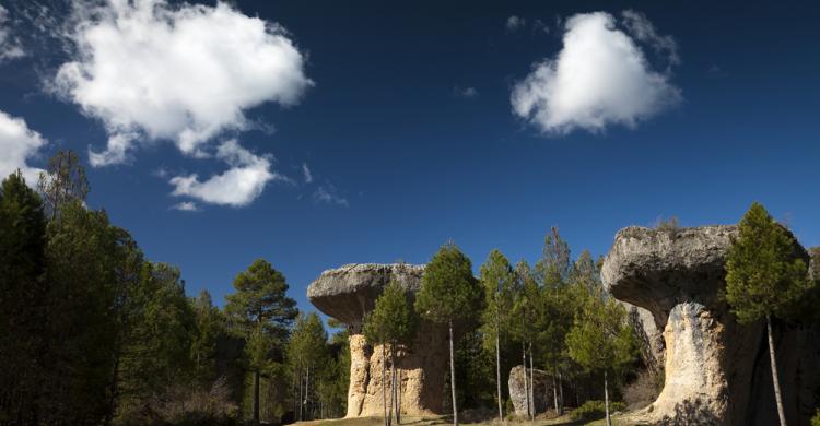 Rocas y árboles en la Ciudad Encantada