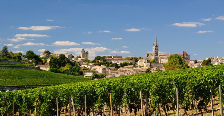 Viñas de Saint Emilion