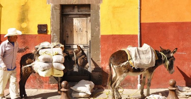 Estampa típica del lugar, un lugareño con sus burros