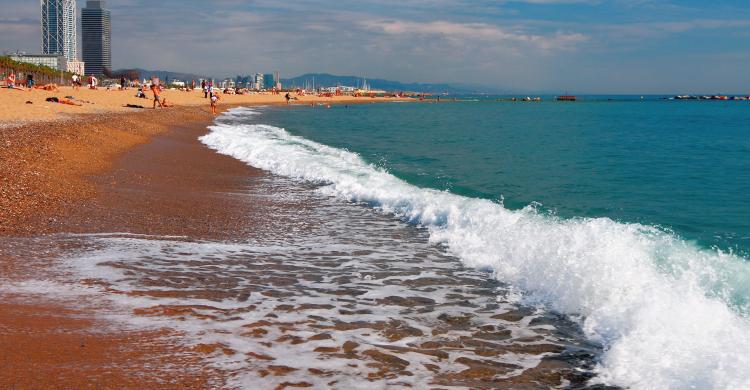 Playa de Sant Miquel - Barcelona