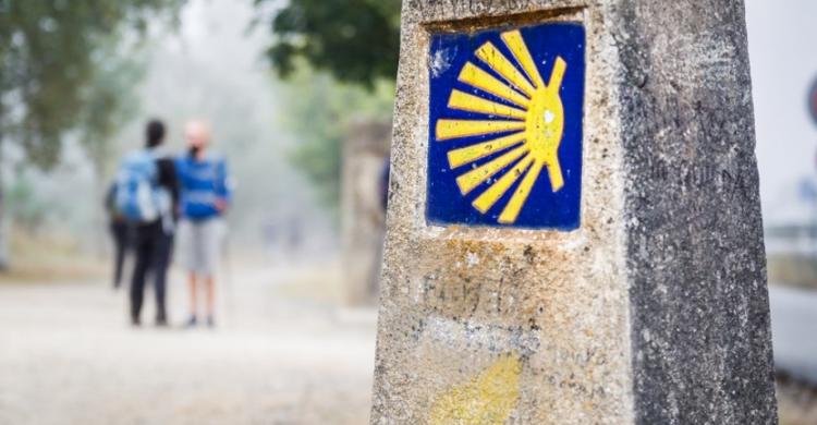 La concha del peregrino, símbolo del camino a Santiago de Compostela