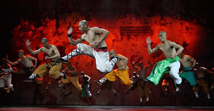 Equipo de luchadores de Kung Fu