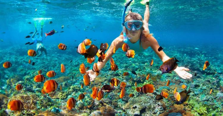 Snorkel en arrecifes de coral del Caribe