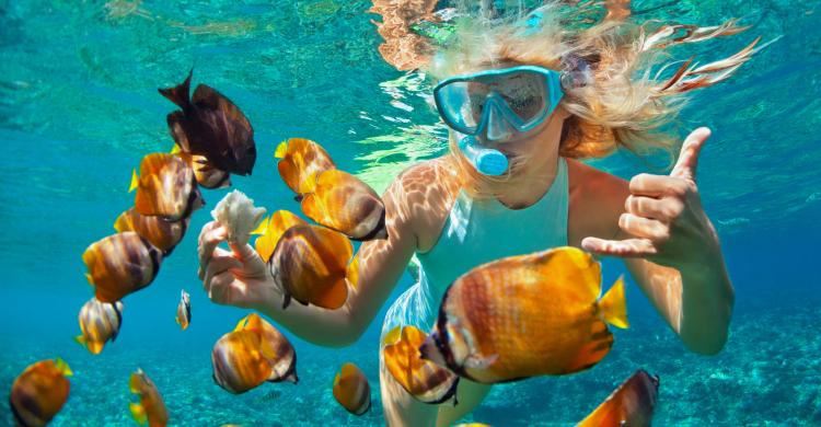 Snorkel en Isla Mujeres