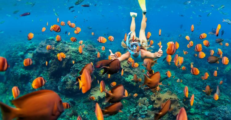 Snorkel en Punta Cana