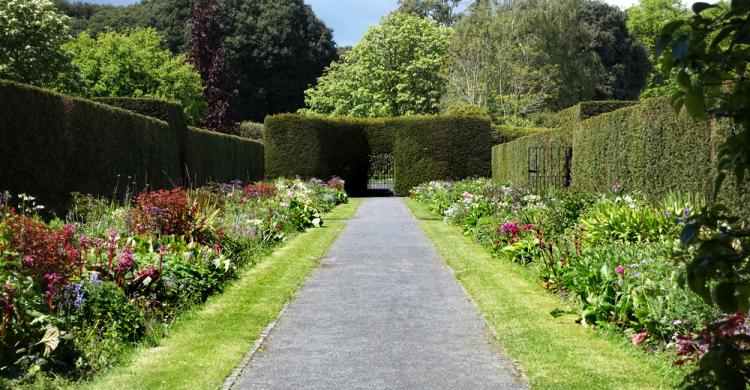 St. Anne's Park de Dublín