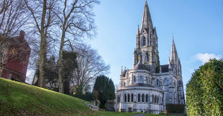 Catedral de San Finbar en Cork