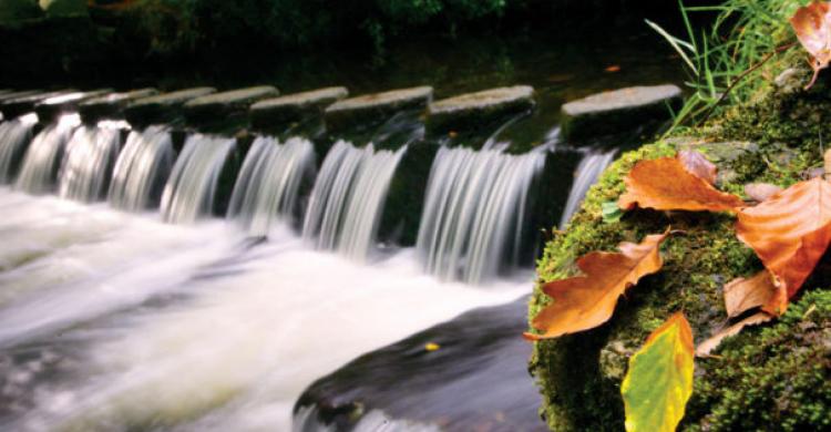 Cascada de Tollymore