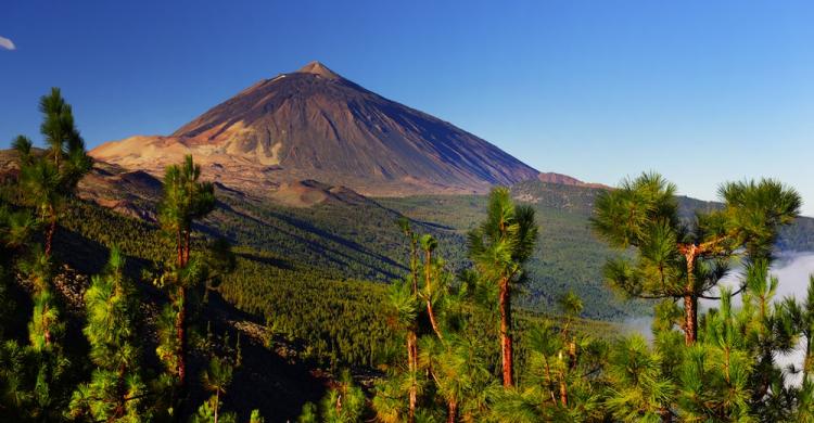 El Teide