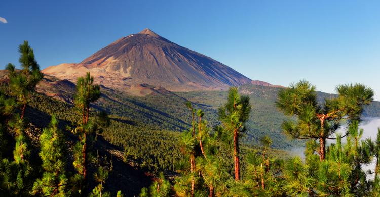 Volcán del Teide