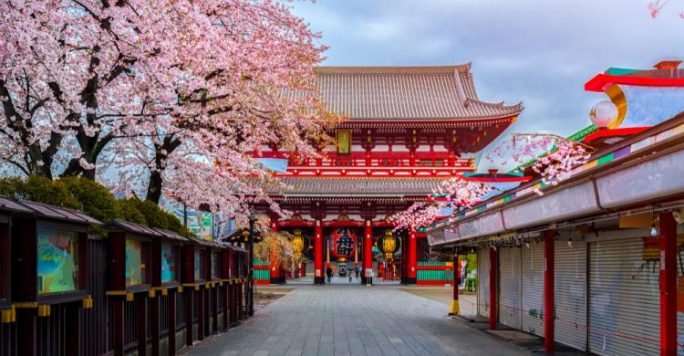 Templo Sensō-ji en Asakusa