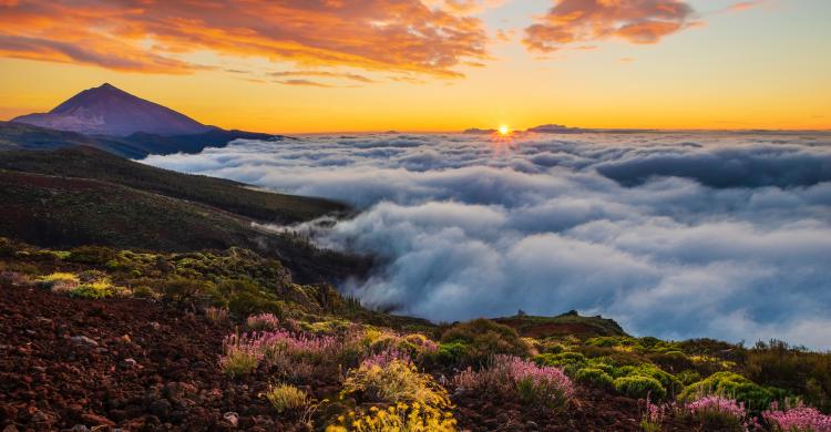 Subir el Teide permisos