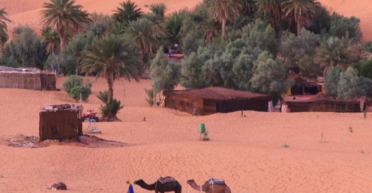 Campamento en Merzouga