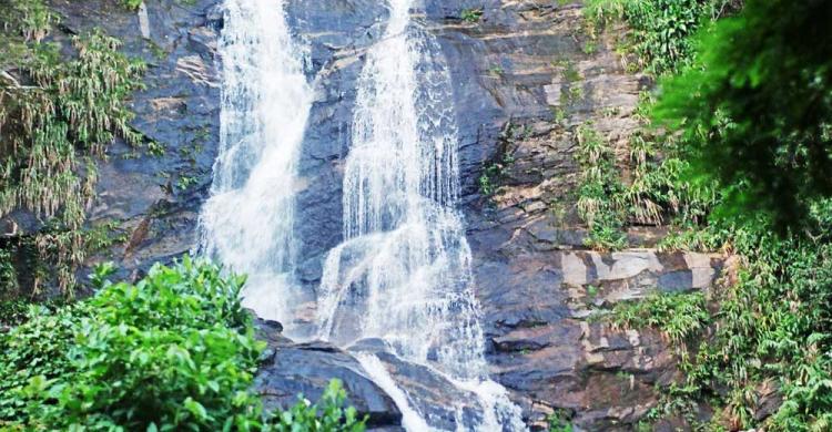 Disfrutaremos de un baño en las cascadas del bosque