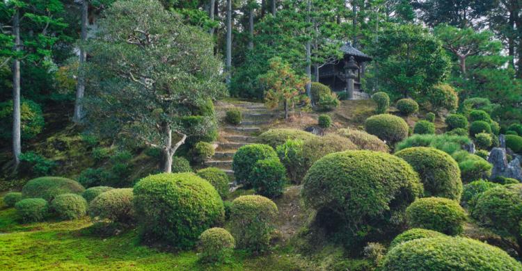 Tōfuku-ji - jardín