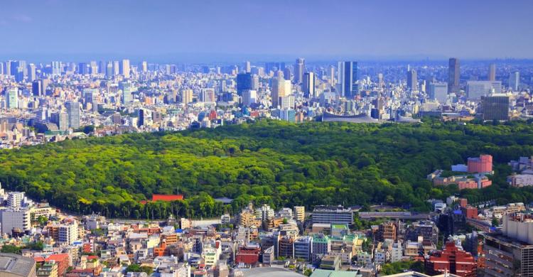 Panorámica de Tokio y Parque Shinjuku