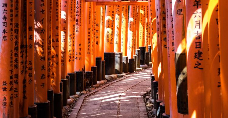 Toriis rojos del Santuario Fushimi Inari-Taisha