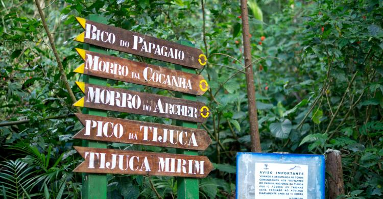 Excursión a pie por el Parque Tijuca