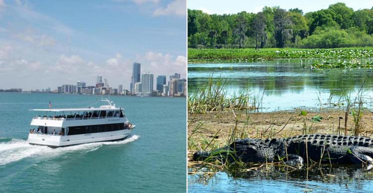 Excursión a los Everglades y Crucero por las islas de Miami