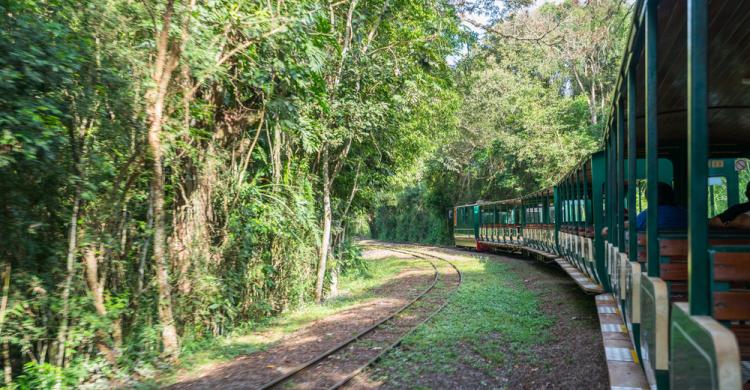 Paseo en el tren ecológico de la selva