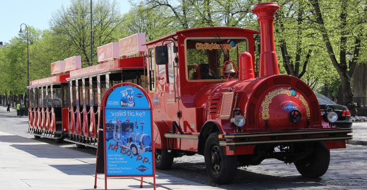 Tren turístico de Oslo